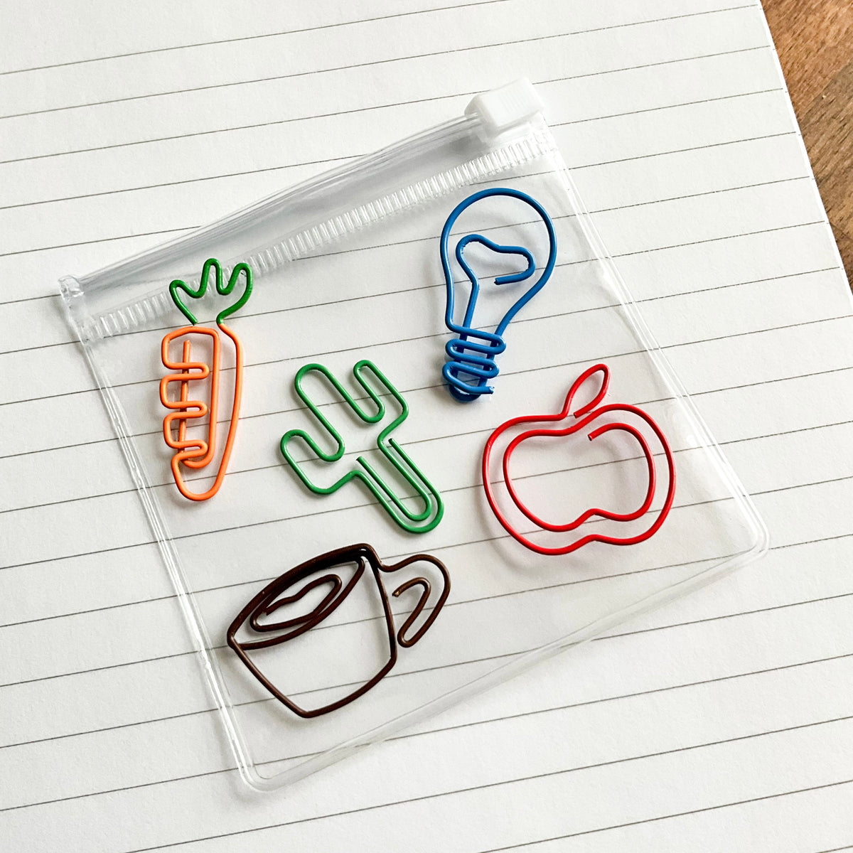 Paper clip bundle 1